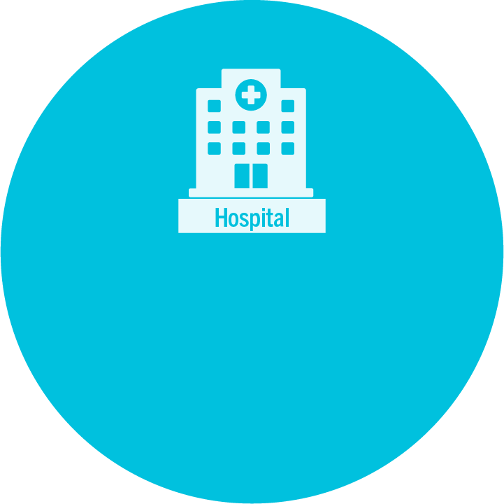 Hospital Building Icon